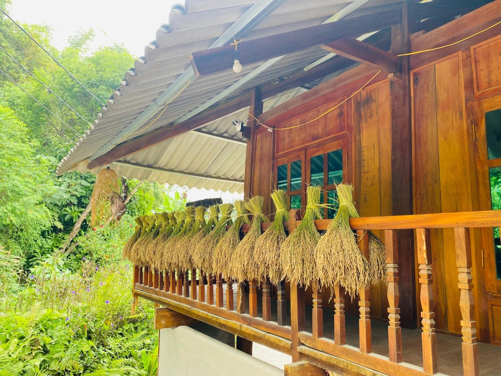 Du Gia Field View Homestay Làng Cac Buitenkant foto