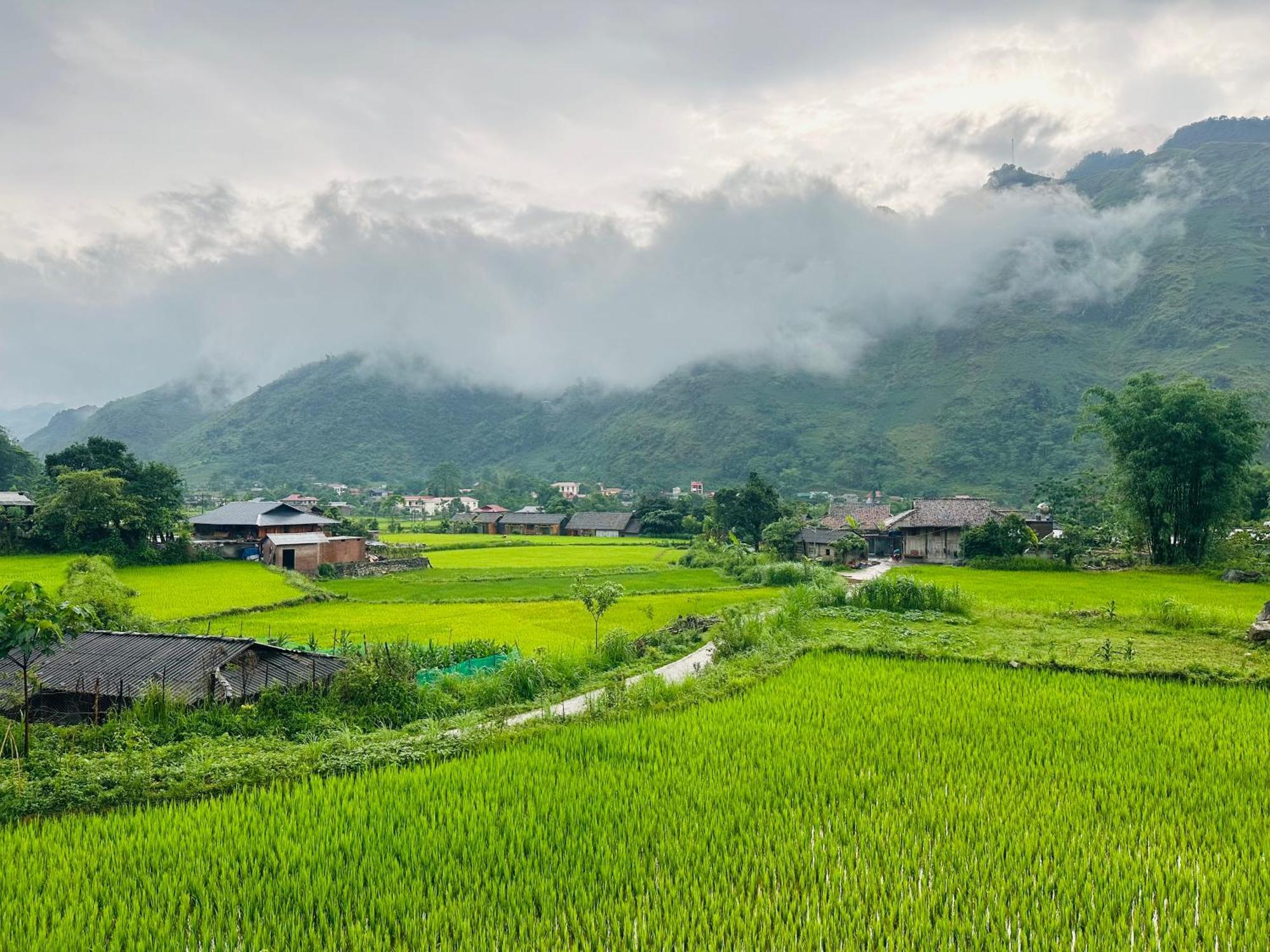 Du Gia Field View Homestay Làng Cac Buitenkant foto