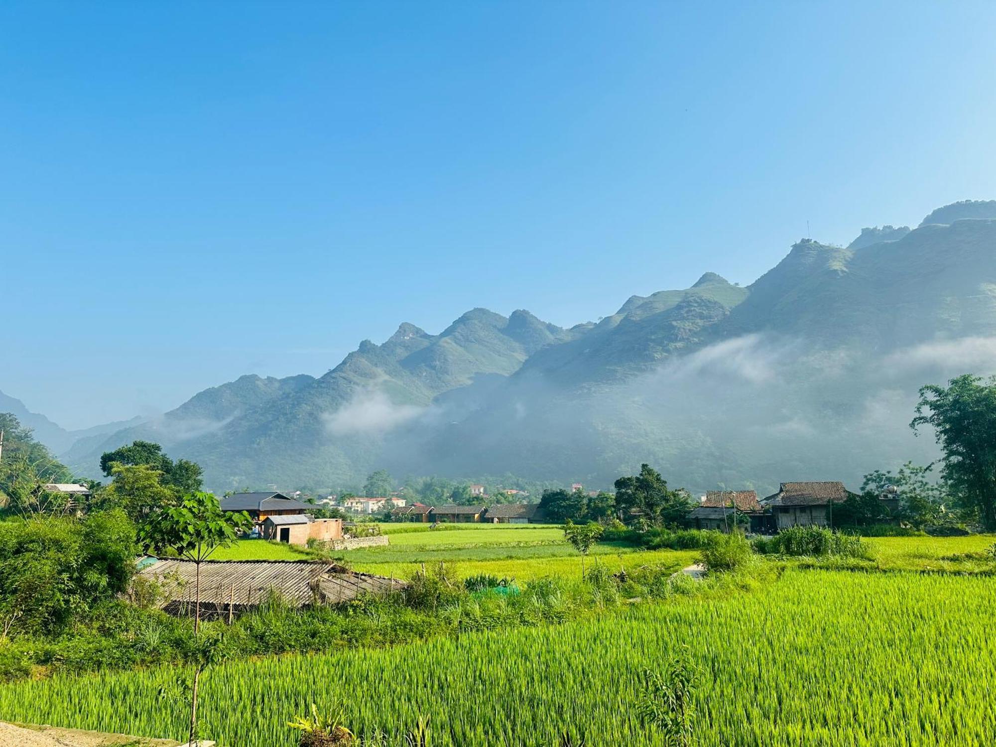 Du Gia Field View Homestay Làng Cac Buitenkant foto