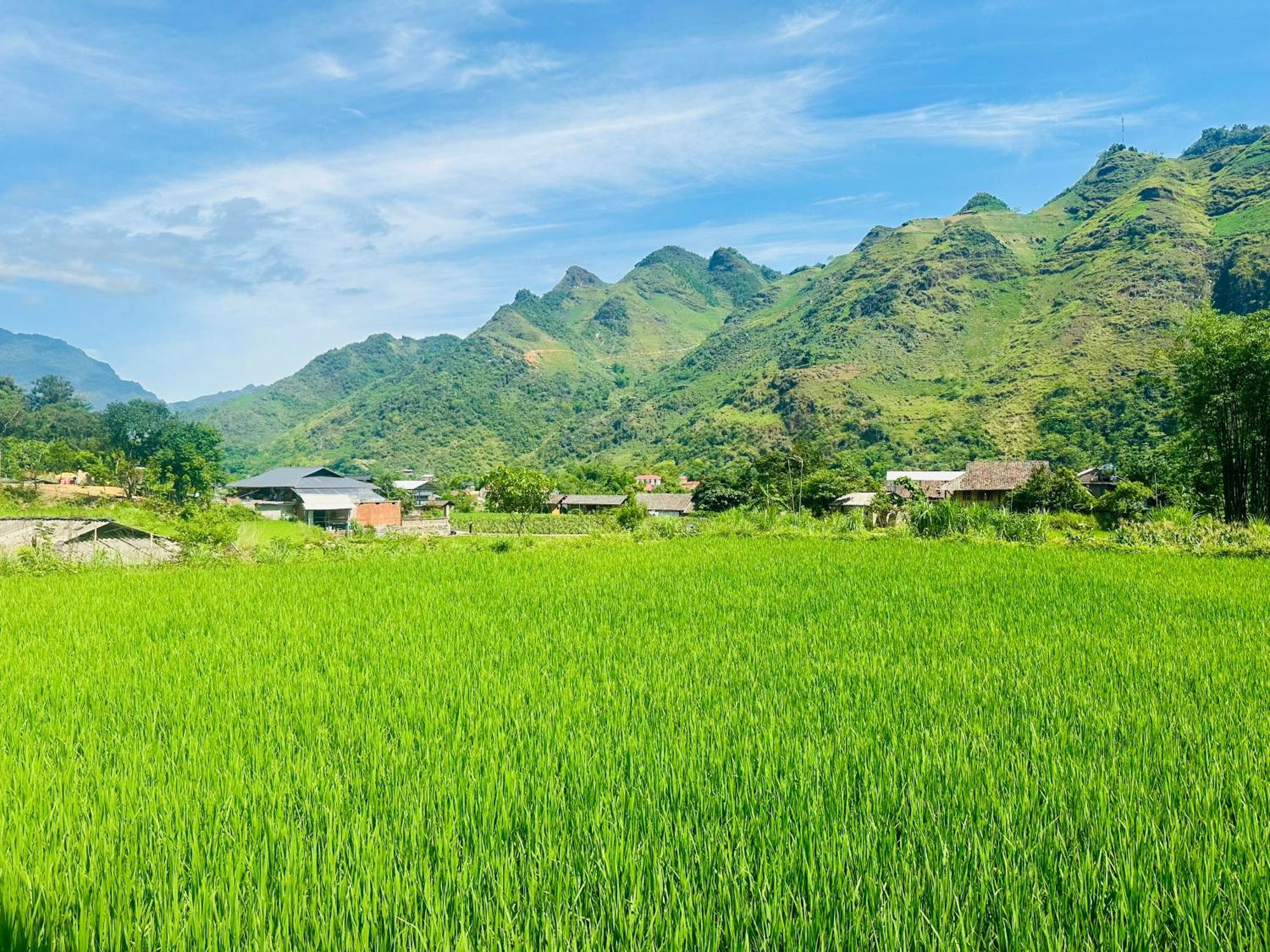 Du Gia Field View Homestay Làng Cac Buitenkant foto